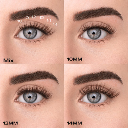 Starter Kit - Faux-cils précollés + Pince applicateur