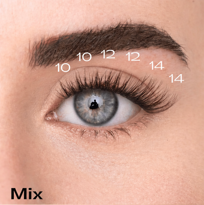 Starter Kit - Faux-cils précollés + Pince applicateur