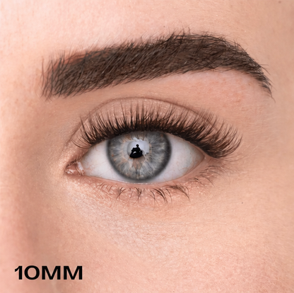 Starter Kit - Faux-cils précollés + Pince applicateur