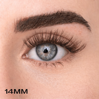 Starter Kit - Faux-cils précollés + Pince applicateur