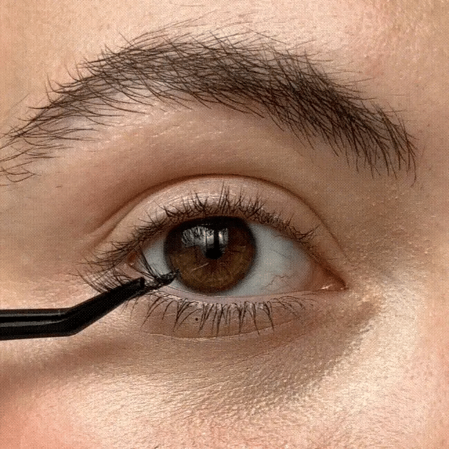 Starter Kit - Faux-cils précollés + Pince applicateur